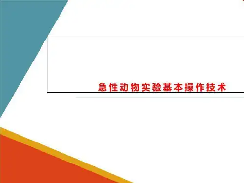 急性动物实验基本操作技术