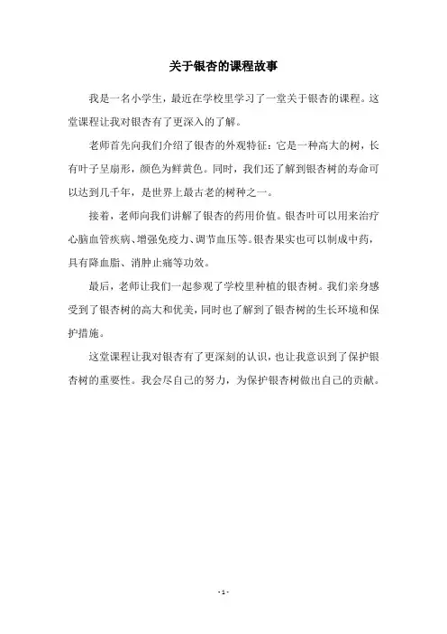 关于银杏的课程故事