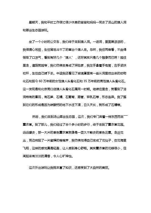 汤山公园一日游作文