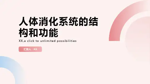 人体消化系统的结构和功能