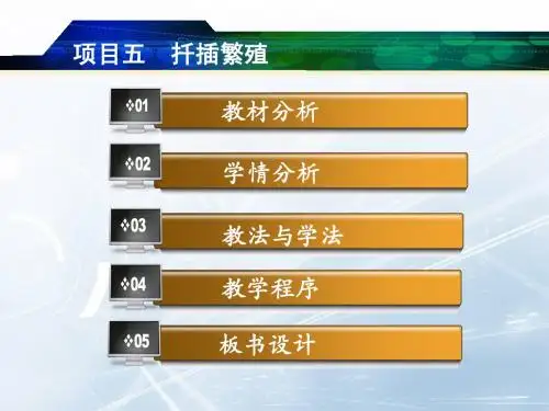 扦插说课