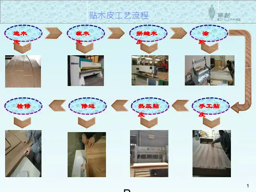 油漆施工工艺ppt课件