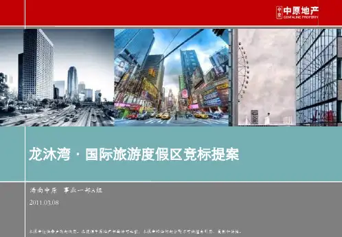 DCYX中原-2011龙沐湾竞标提案报告-