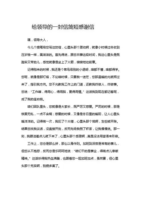 给领导的一封信简短感谢信
