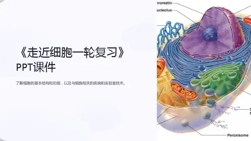 《走近细胞一轮复习》课件