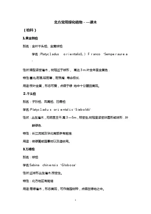 北方园林绿化常用植物-灌木