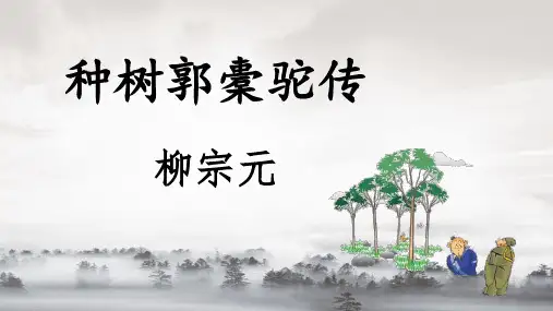 《种树郭橐驼传》ppt课件