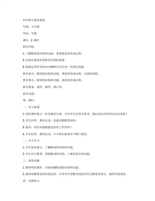 初中眼与视觉教案