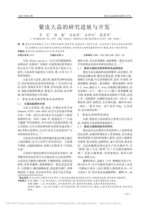 紫皮大蒜的研究进展与开发_肖岚