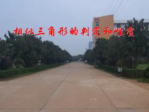 相似三角形的判定PPT课件