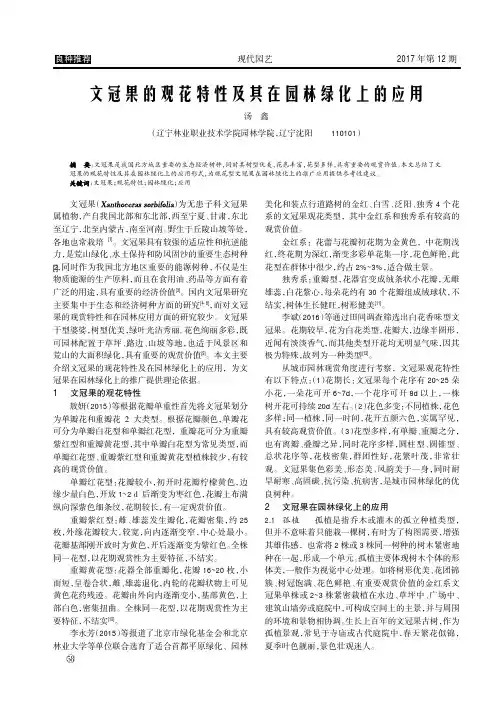 文冠果的观花特性及其在园林绿化上的应用