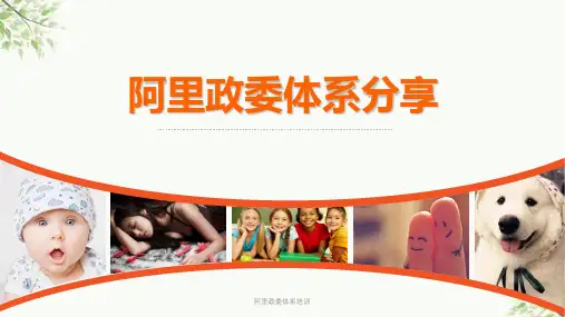 阿里政委体系培训课件