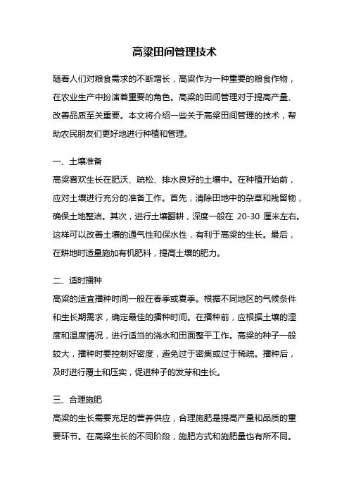 高粱田间管理技术