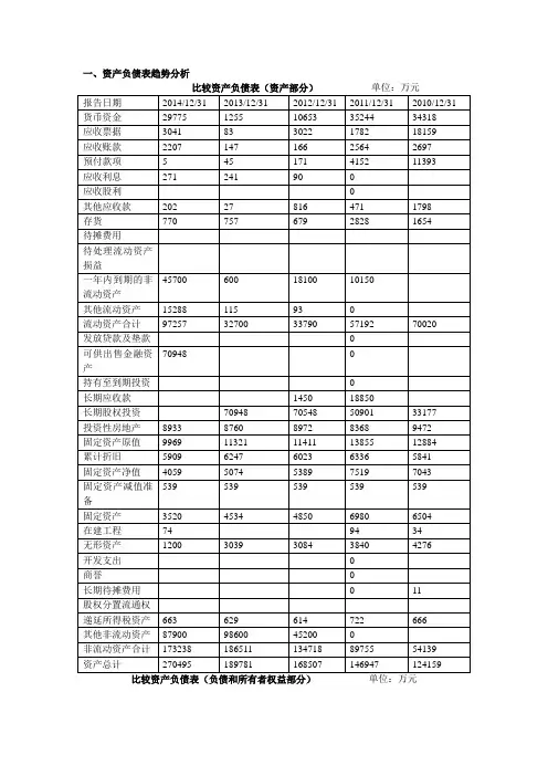 广东明珠公司财务报表分析报告 正本