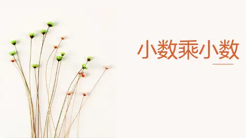 人教版五年级数学上册 (小数乘小数)小数乘法教学课件