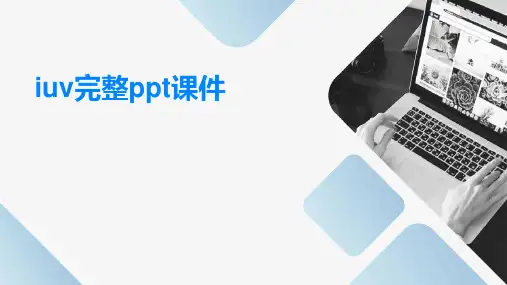 iuv完整ppt课件