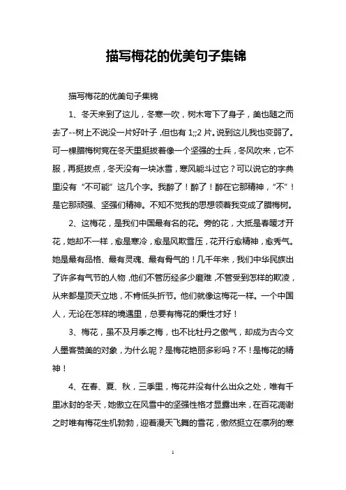 描写梅花的优美句子集锦