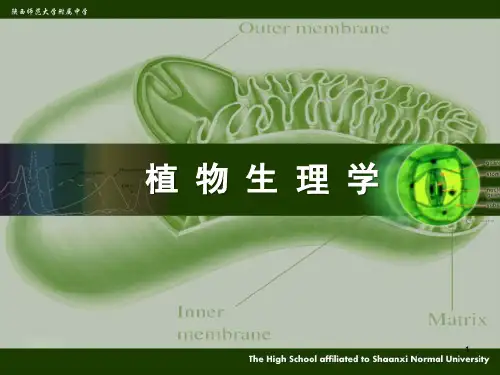 1专题. 植物水分代谢(36张PPT)