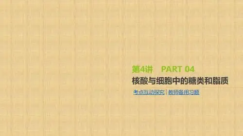 高考生物一轮复习第1单元走近细胞与细胞的分子组成第4讲核酸与细胞中的糖类和脂质名师课件