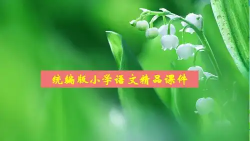 统编版(部编版)三年级上册语文课件-习作例文：我爱故乡的杨梅人教(部编版) (共26张PPT)课件