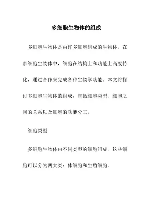 多细胞生物体的组成