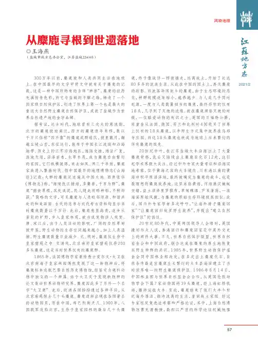从麋鹿寻根到世遗落地