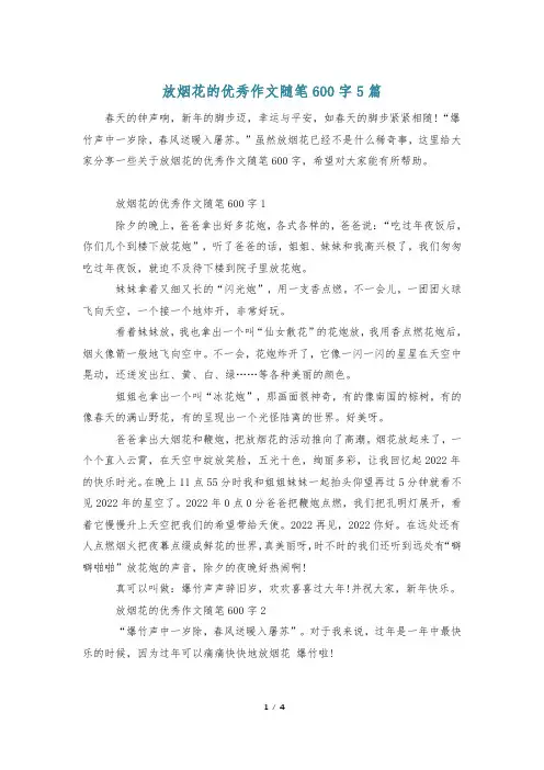 放烟花的优秀作文随笔600字5篇