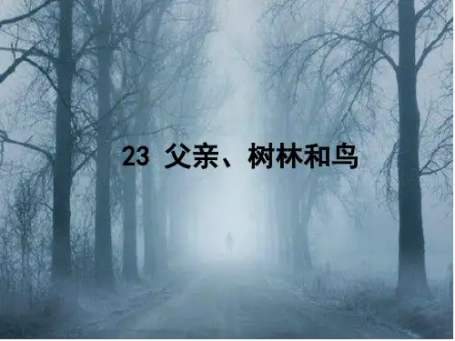 统编(部编)版语文三年级上册 第七单元《父亲、树林和鸟》课件(共28张PPT)