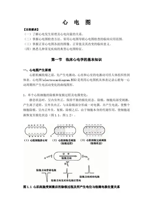 心电图大纲