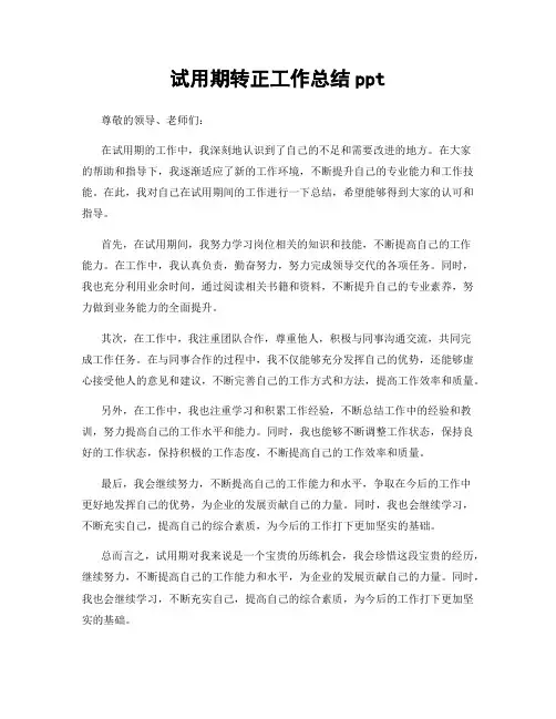 试用期转正工作总结ppt 2