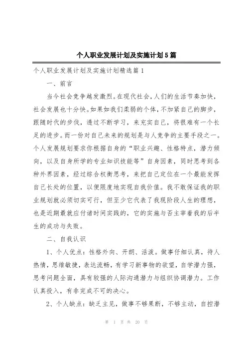 个人职业发展计划及实施计划5篇