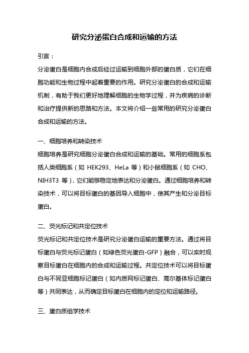 研究分泌蛋白合成和运输的方法