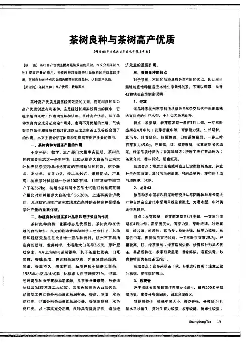 茶树良种与茶树高产优质_穆瑞禄