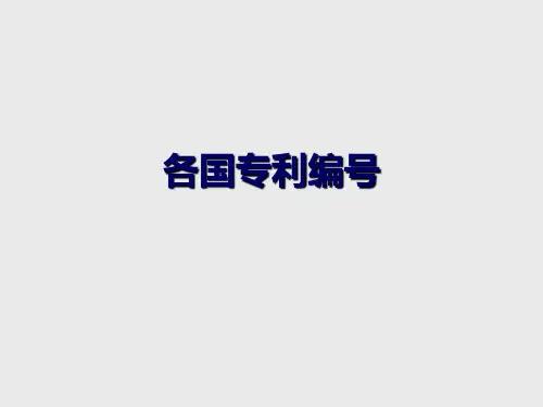 各国专利编号