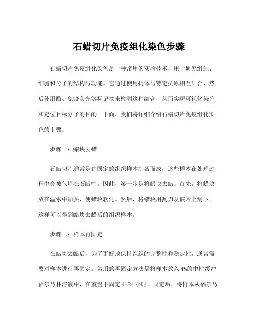 石蜡切片免疫组化染色步骤
