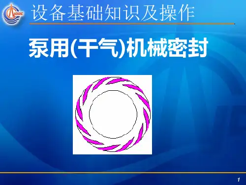 泵用干气密封