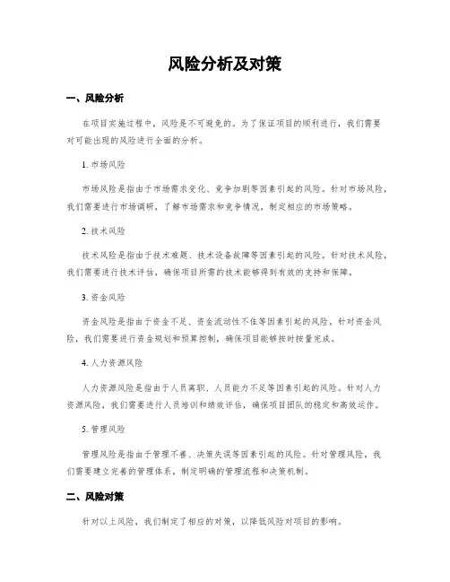 风险分析及对策