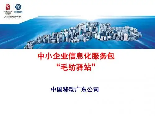 中小企业信息化服务包毛纺驿站(精)