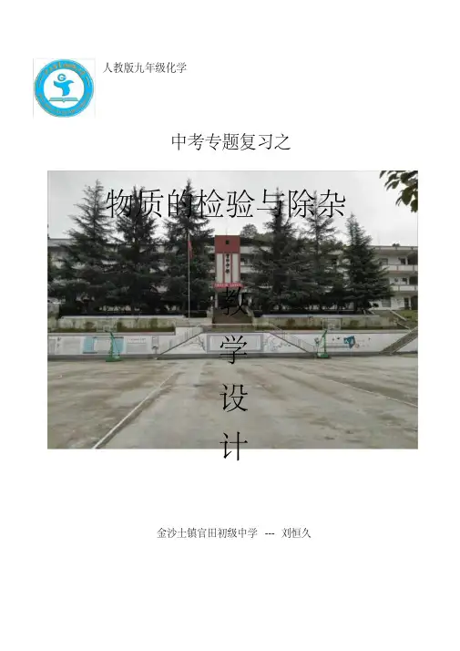 人教版初三化学下册中考专题复习之物质的检验与除杂