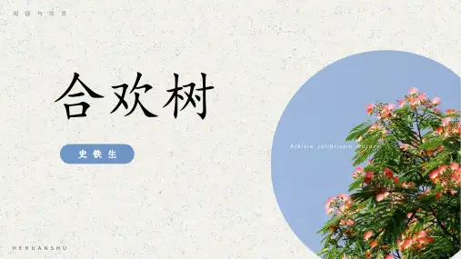 散文-史铁生《合欢树》课件PPT(48页)