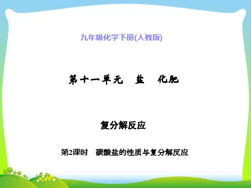 碳酸盐的性质与复分解反应-课件