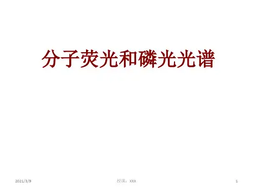 分子荧光和磷光光谱PPT课件