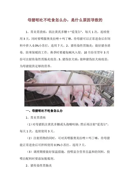 母猪呕吐不吃食怎么办,是什么原因导致的