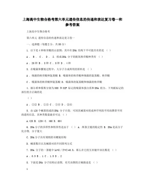 上海高中生物合格考第六单元遗传信息的传递和表达复习卷一和参考答案