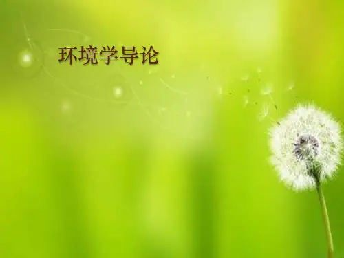 固体废物污染与控制.ppt