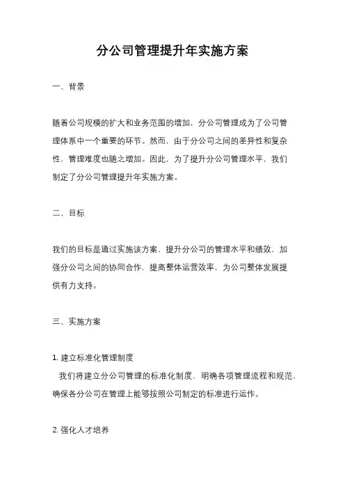 分公司管理提升年实施方案