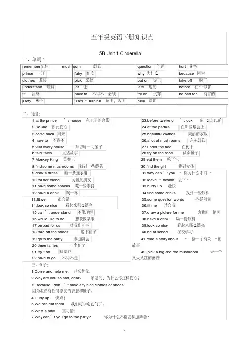 新译林英语五年级下册知识点总结