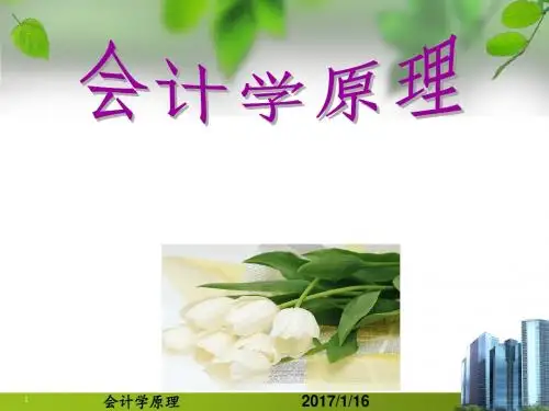 会计学原理第1章总论解析