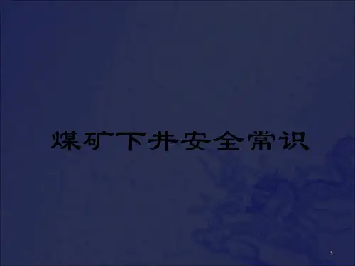 《煤矿下井安全常识》PPT课件_OK