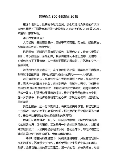 遇见作文800字记叙文10篇